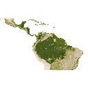 7_2_1-1.gif<>Porečje Amazonke