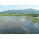 7_3_4-2.jpg<>Presihajoče Cerkniško jezero