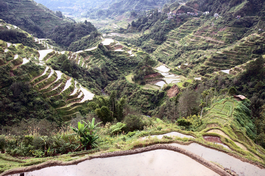 Primer kulturne pokrajine: riževe terease (Banaue, Filipini)