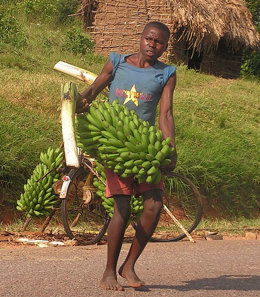 Banane