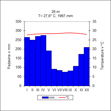 Manaus