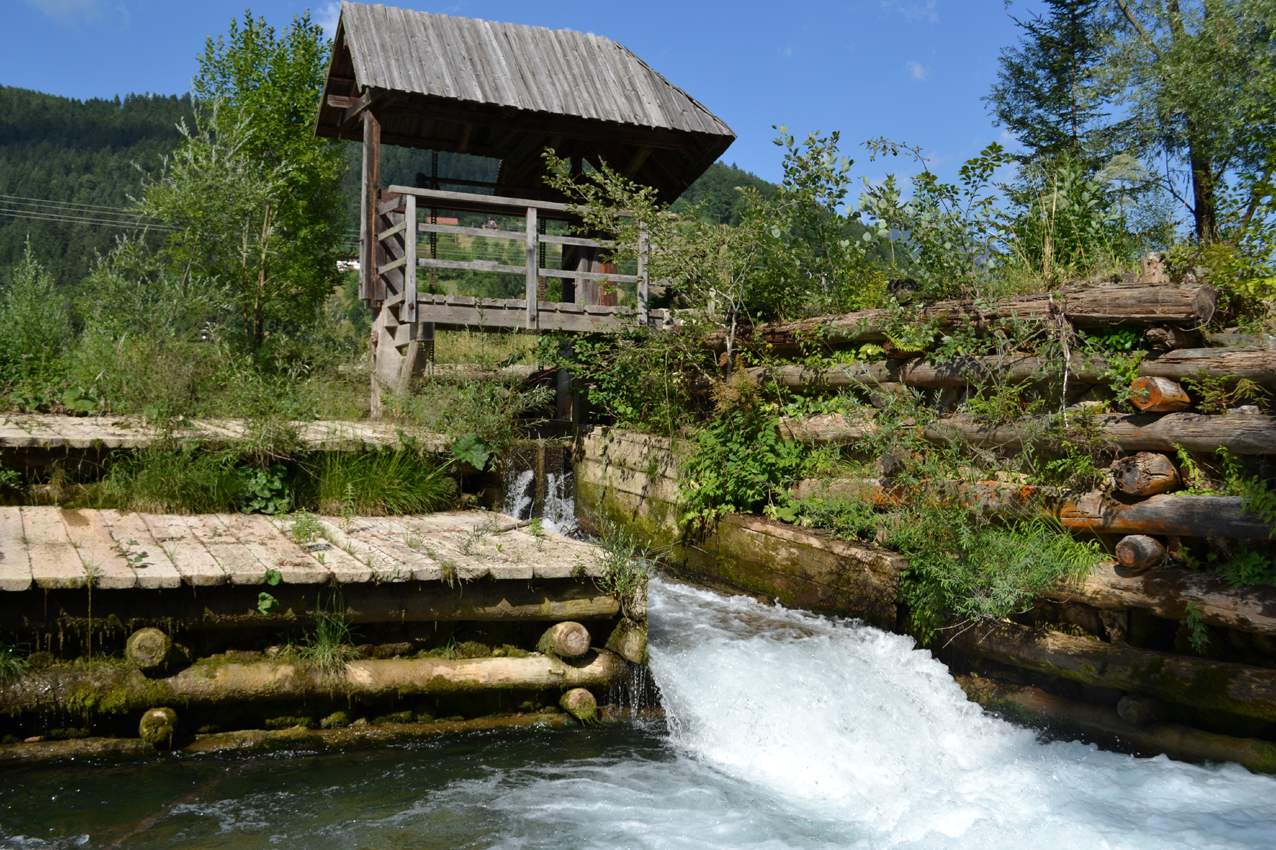 Kranjska stena kot jez in zaščita brežin