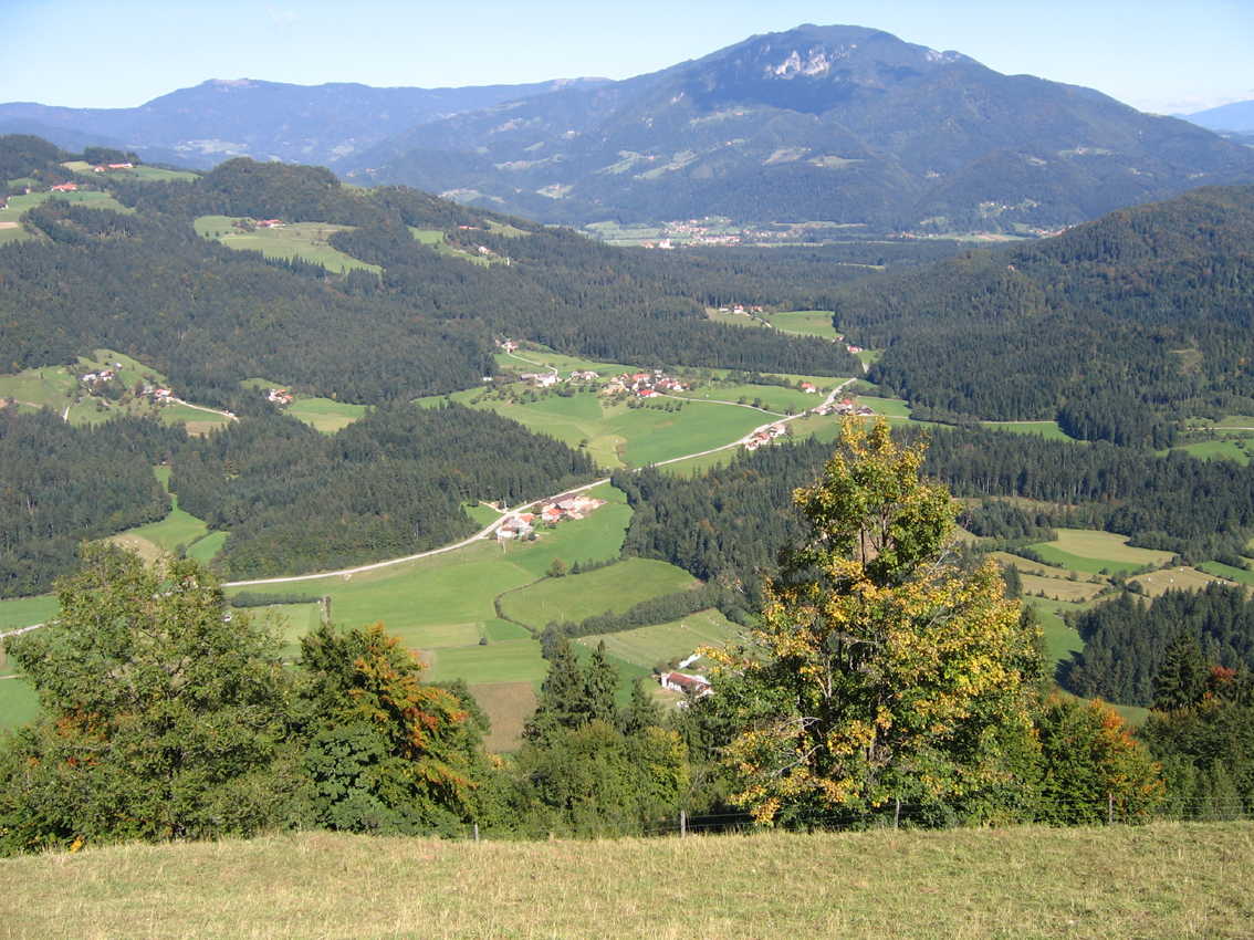 Gozdnata Zgornja Savinjska dolina
