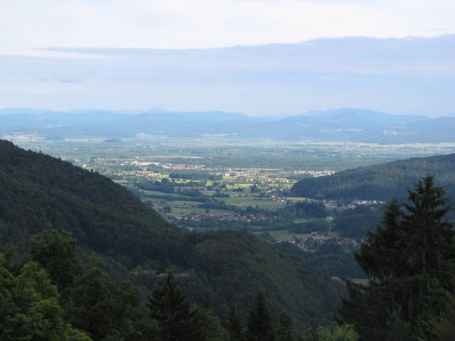 Barje