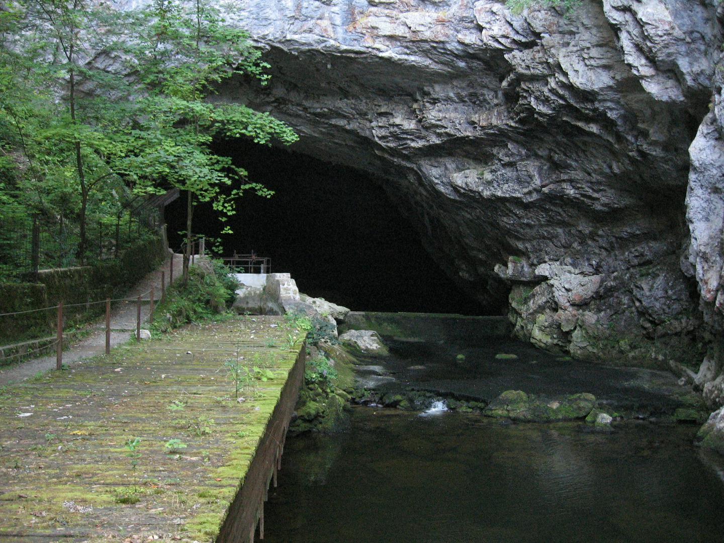 Planinska jama