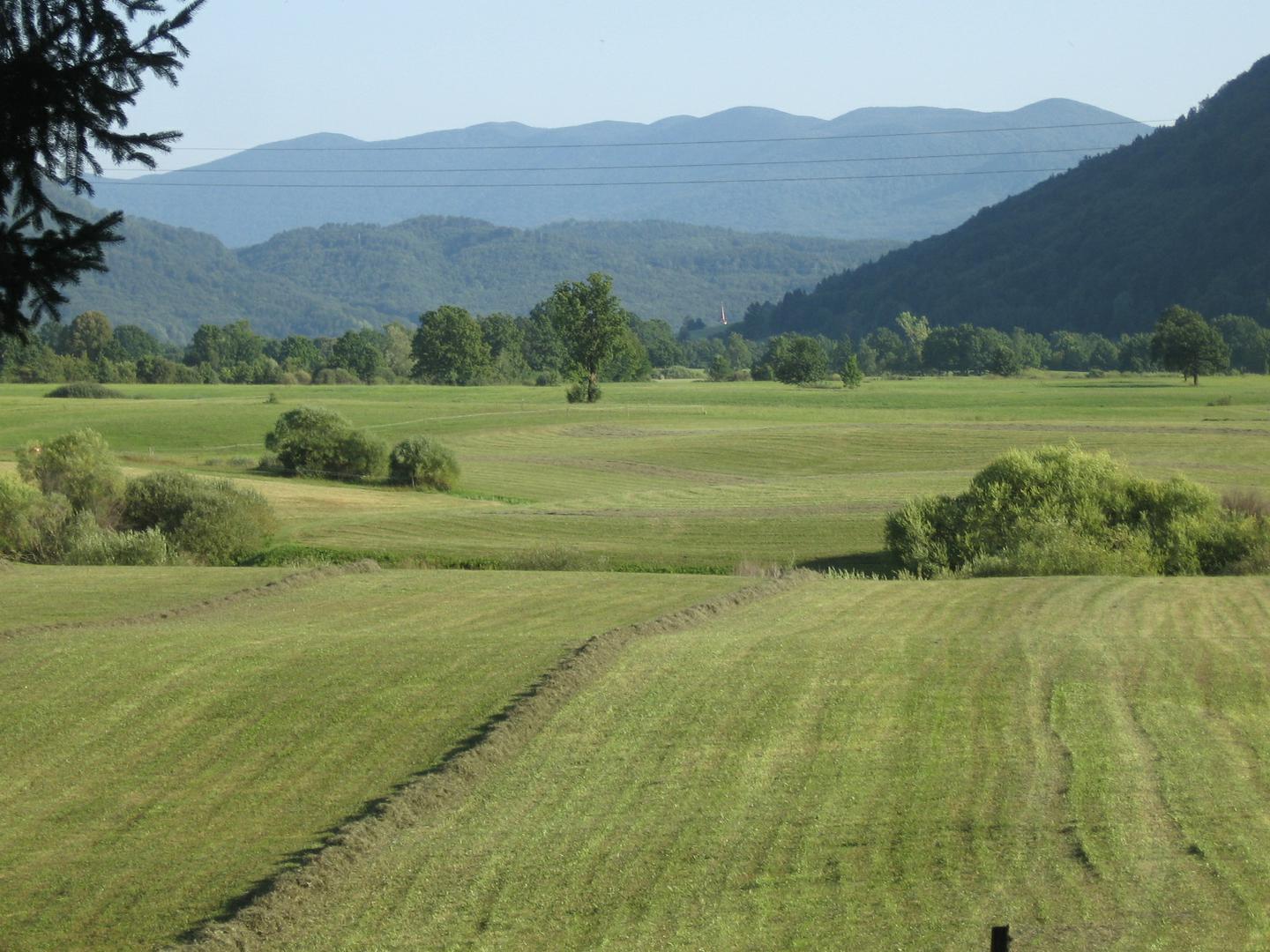 Planinsko polje