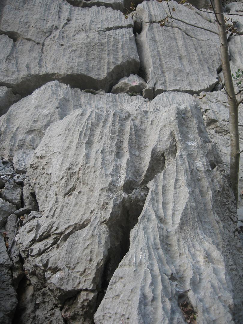 Žlebiči