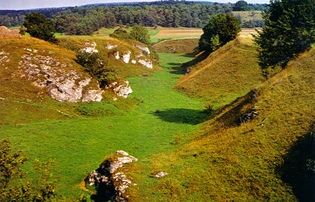 Dolina