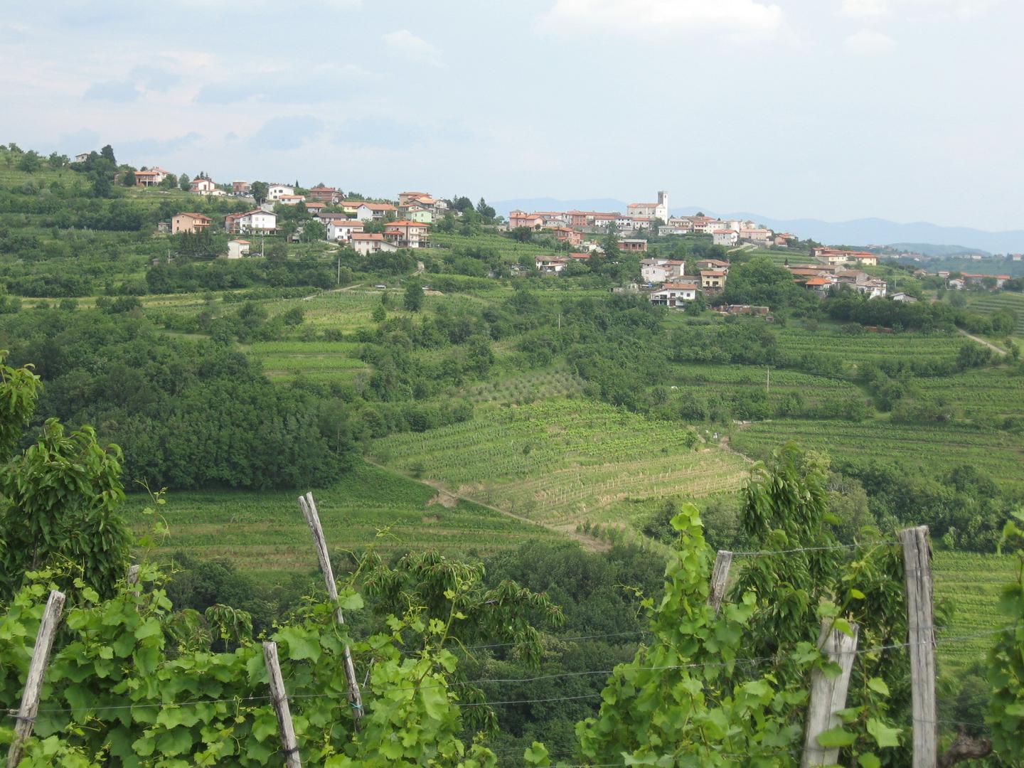 Goriška Brda