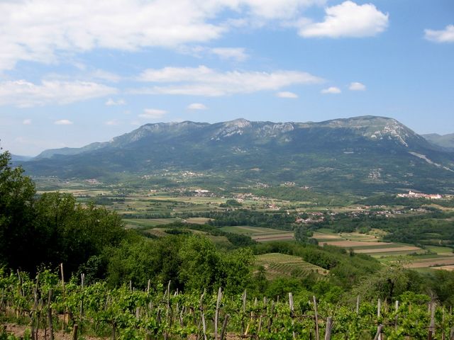 Vipavska dolina