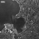 1.png<>1954