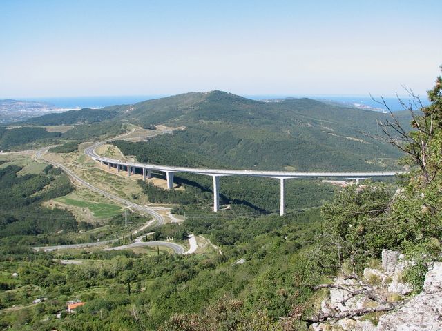 Črni kal