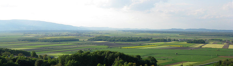 Dravsko polje