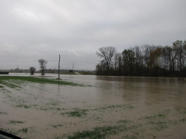 Poplave ob Dravi