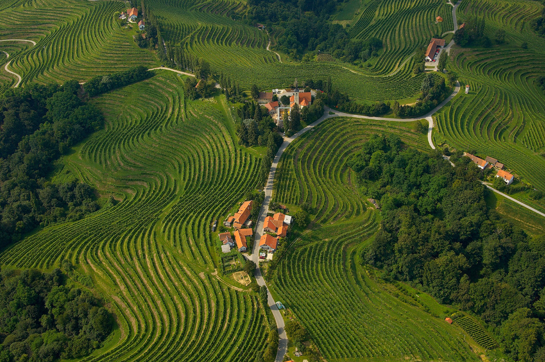 Slovenske gorice