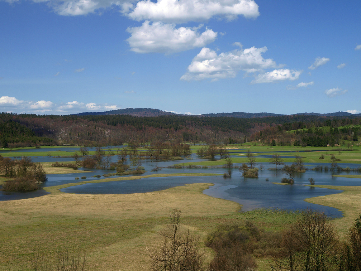 Planinsko polje - Dinarskokraška pokrajina