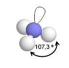 Molekula C