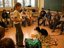 Primer predstavitve projektnega dela