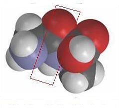 Kalotni model dipeptida gly-gly