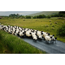 iStock_000017348201XSmall1.jpg<>