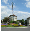 IMG_2220.jpg<>