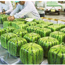 slikalubenica1.jpg<>