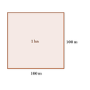hektar.png<>Hektar