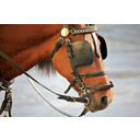 horse_blinders.jpg<>