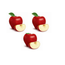 uvod_7.png<>E