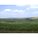 0318_stepa.jpg<>V stepah prevladujejo nizko rastoče rastline, predvsem trave. V na videz pusti pokrajini žive številne vrste žuželk, glodavcev in ptic.